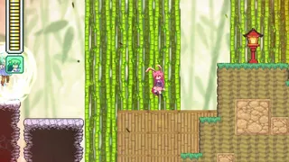 Скриншот 5 к игре 風の祝子 ～早苗さんの妖怪退治～
