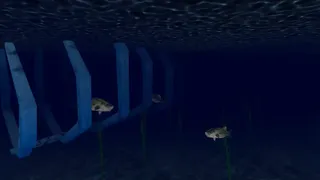 Скриншот 6 к игре Fish Cymophis
