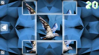 Скриншот 4 к игре Poly Puzzle: Birds