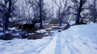 Скриншот 1 к игре Darkion