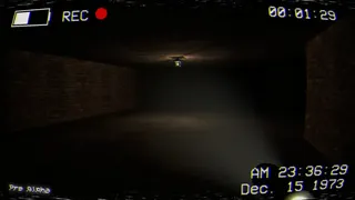 Скриншот 4 к игре Project XMAS
