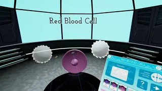 Скриншот 1 к игре Looking Inside Cells