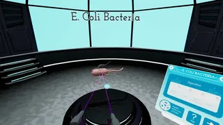 Скриншот 3 к игре Looking Inside Cells