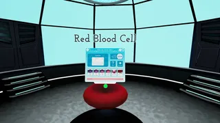 Скриншот 6 к игре Looking Inside Cells