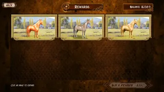 Скриншот 5 к игре Cruise Ship Horse Racing