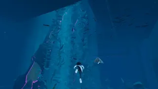 Скриншот 1 к игре Aria