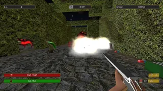 Скриншот 8 к игре The Creature of Chaos