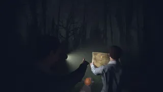 Скриншот 1 к игре Light, Dark or Hrak?