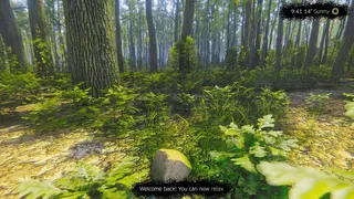 Скриншот 1 к игре Mindfulness Simulator - ASMR Meditation Game