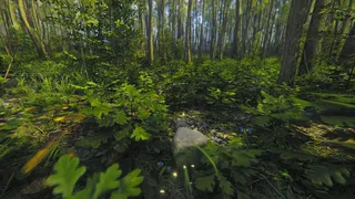 Скриншот 6 к игре Mindfulness Simulator - ASMR Meditation Game