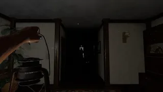 Скриншот 3 к игре Zemblanity