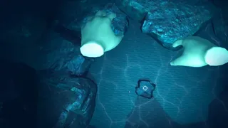 Скриншот 1 к игре Bubbles & Pearls