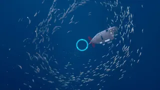Скриншот 7 к игре The Deep Diving of FloodDragon