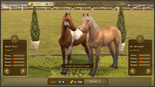 Скриншот 4 к игре Jumping Horses Champions