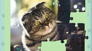 Скриншот 4 к игре 1001 Jigsaw. Cute Cats