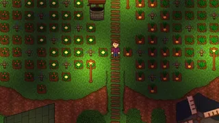 Скриншот 3 к игре Seeds of Unity