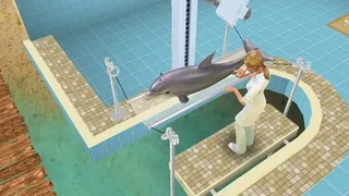 Скриншот 3 к игре Pet Vet 3D Animal hospital Down Under
