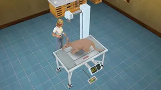 Скриншот 3 к игре Pet Vet 3D Wild Animal Hospital
