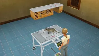 Скриншот 6 к игре Pet Vet 3D Wild Animal Hospital