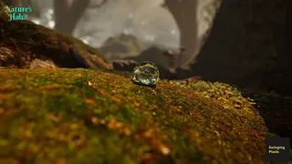 Скриншот 1 к игре Nature's Habit