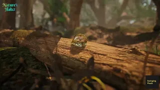 Скриншот 2 к игре Nature's Habit