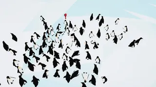 Скриншот 6 к игре Being a Penguin