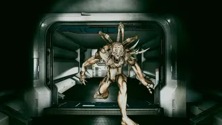 Скриншот 1 к игре PREDATOR AND WRECK