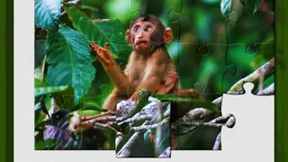 Скриншот 1 к игре 1001 Jigsaw. Wild Animals