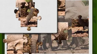 Скриншот 2 к игре 1001 Jigsaw. Wild Animals