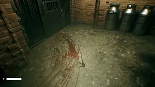 Скриншот 8 к игре The Land of Shadows : Asylum