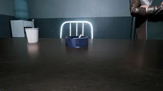 Скриншот 2 к игре Irritability & Mood Swings