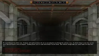 Скриншот 4 к игре Lich Queen's Curse