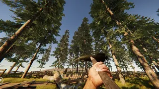 Скриншот 7 к игре THE WILDERNESS