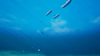 Скриншот 2 к игре SeaWolf VR