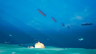 Скриншот 5 к игре SeaWolf VR