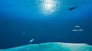 Скриншот 8 к игре SeaWolf VR