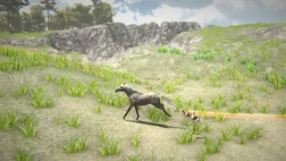 Скриншот 4 к игре Horse and Go Seek