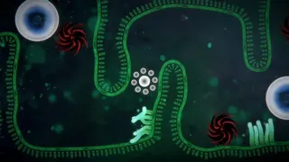 Скриншот 1 к игре Focus Find