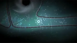Скриншот 2 к игре Focus Find