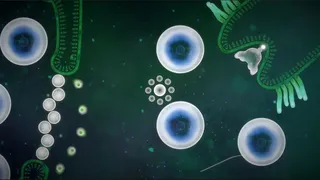 Скриншот 4 к игре Focus Find