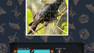 Скриншот 2 к игре 1001 Black Raven Jigsaw