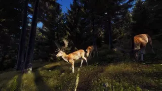Скриншот 2 к игре Way of the Hunter