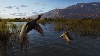 Скриншот 6 к игре Way of the Hunter