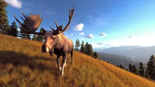 Скриншот 7 к игре Way of the Hunter