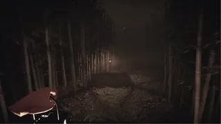 Скриншот 7 к игре Snipe Hunt