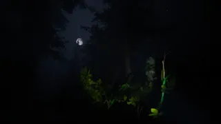 Скриншот 4 к игре Taiga