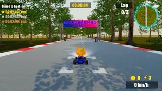 Скриншот 4 к игре Retro Karting 22