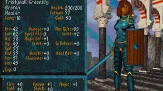 Скриншот 4 к игре The Elder Scrolls: Arena