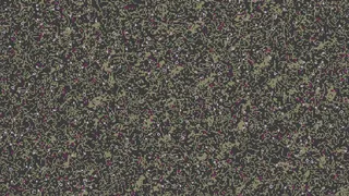 Скриншот 3 к игре Automata Ecosystem - Cellular Automata Simulation