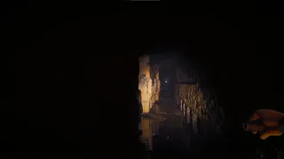 Скриншот 5 к игре Effigy : The Descent